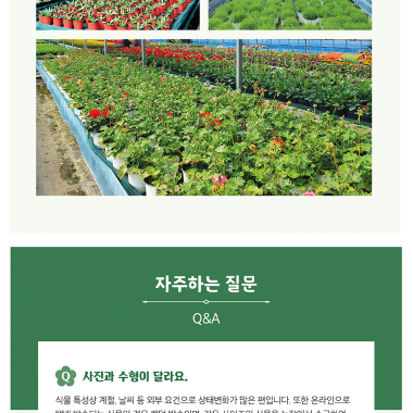 반려식물 키우기 DIY 체험키트 매달 색다른 식물을 체험활동 아이들과함께하는 체험꾸러미